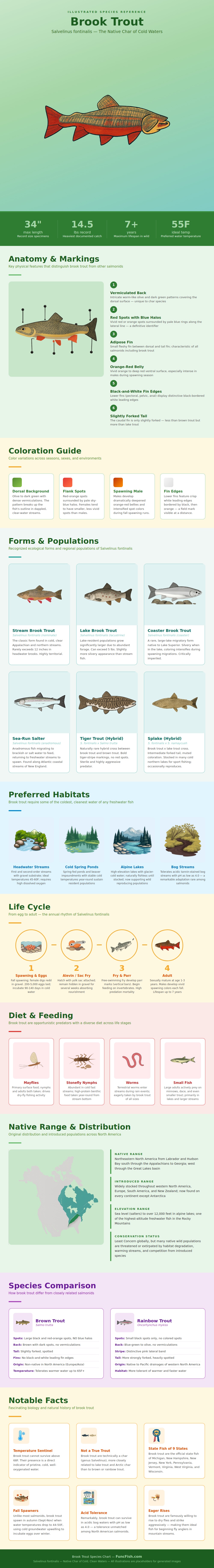 Brook Trout Species Chart