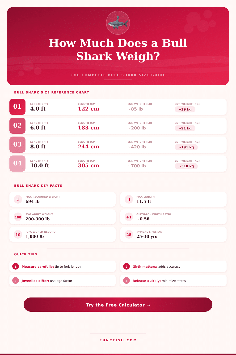 Bull Shark Weight Calculator – Estimate Size by Length