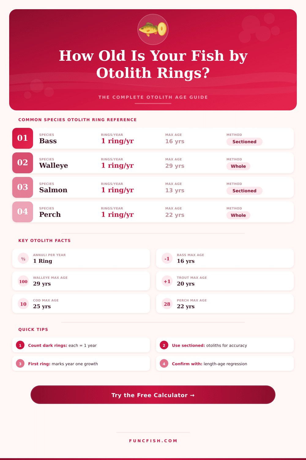 Fish Age from Otolith Calculator – Estimate Age by Ring Count