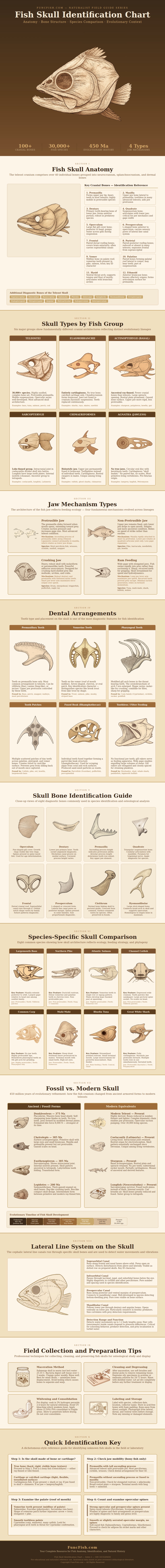 Fish Skull Identification Chart