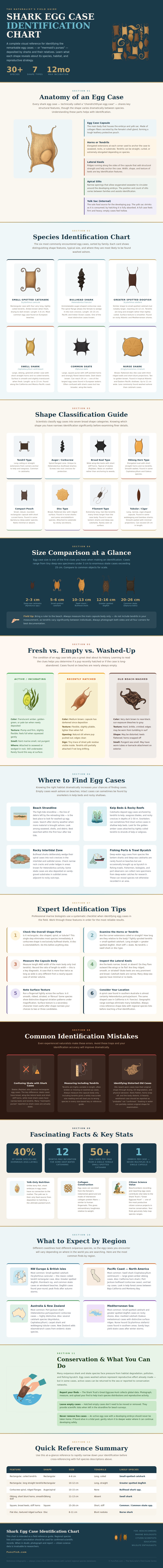 Shark Egg Case Identification Chart