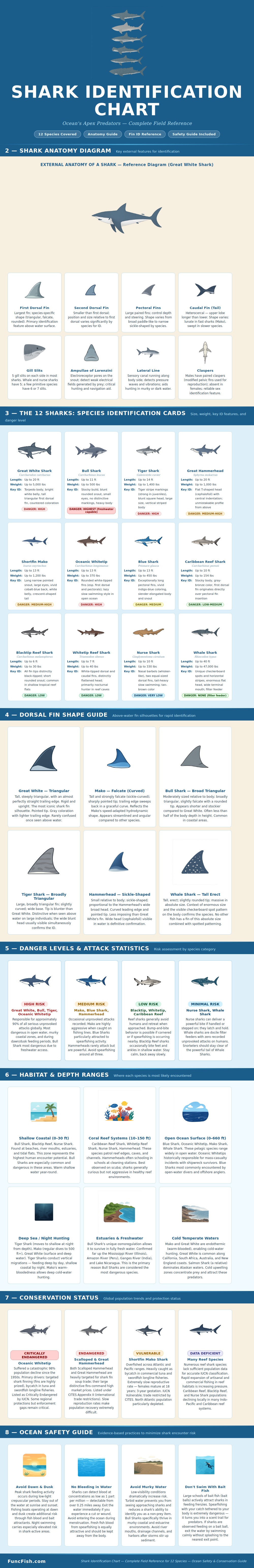 Shark Identification Chart