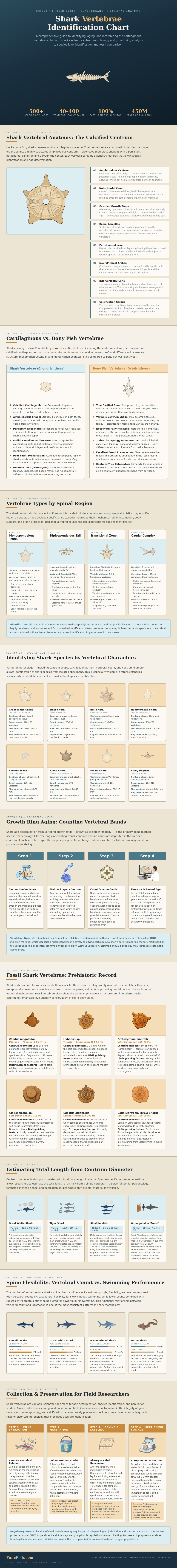 Shark Vertebrae Identification Chart
