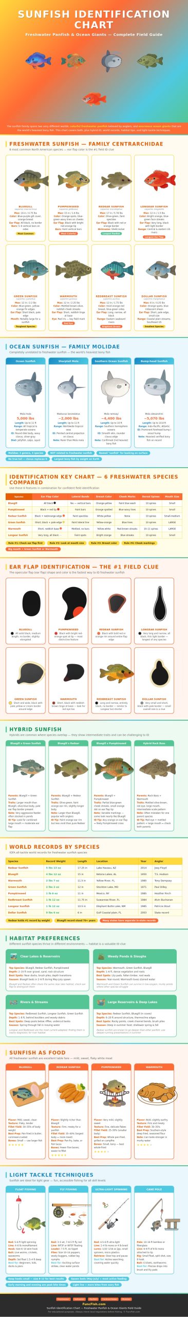 Sunfish Identification Chart - FuncFish