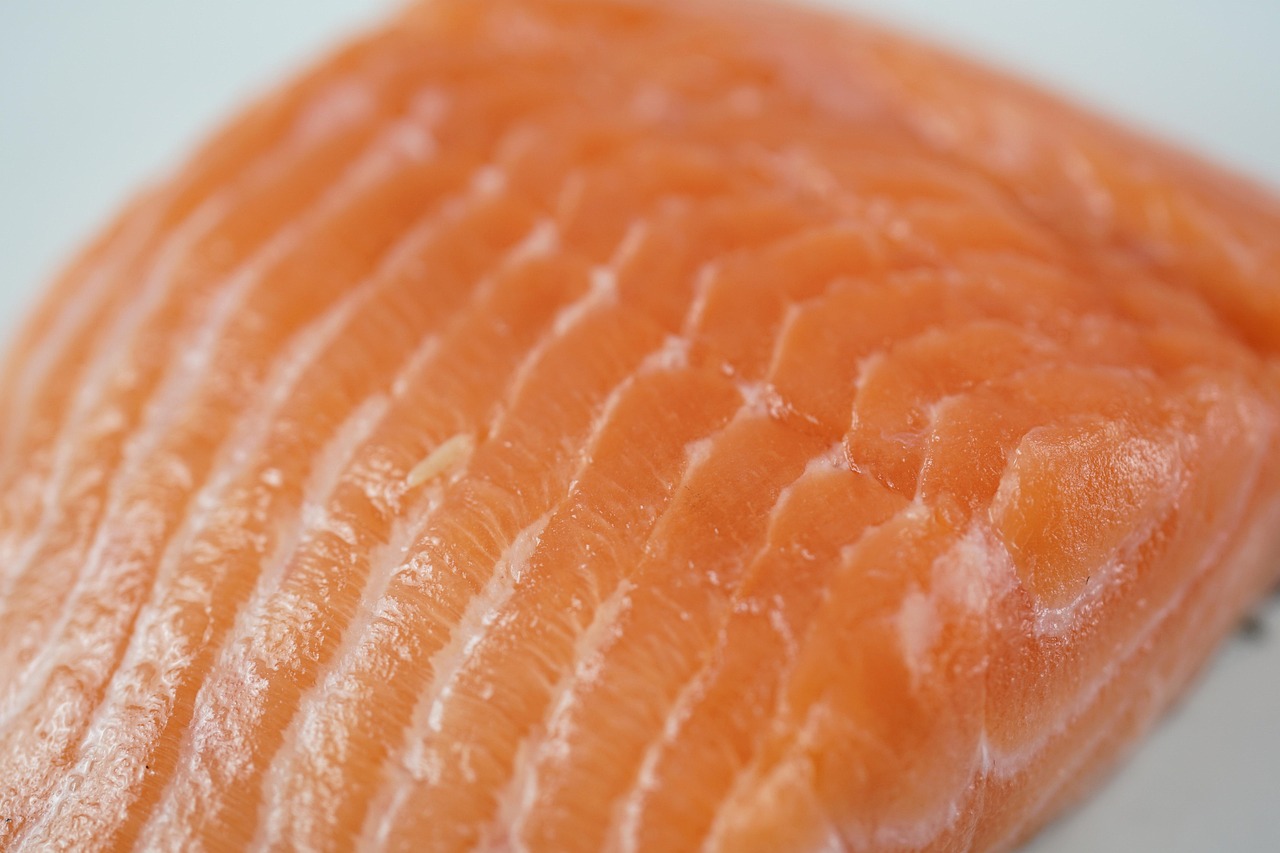 atlantic salmon fillet atlantic salmon fillet