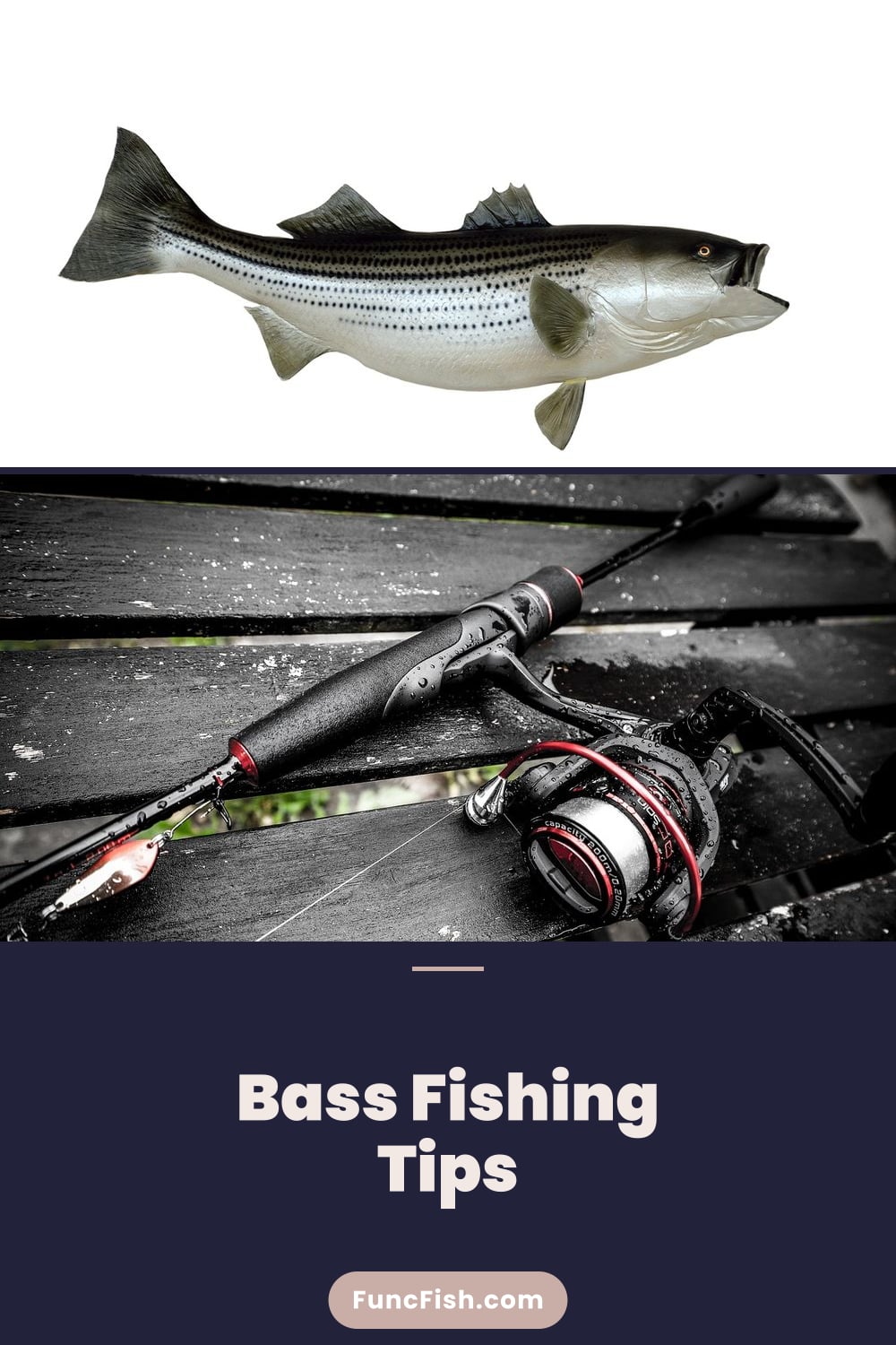 Bass Fishing Tips Bass Fishing Tips