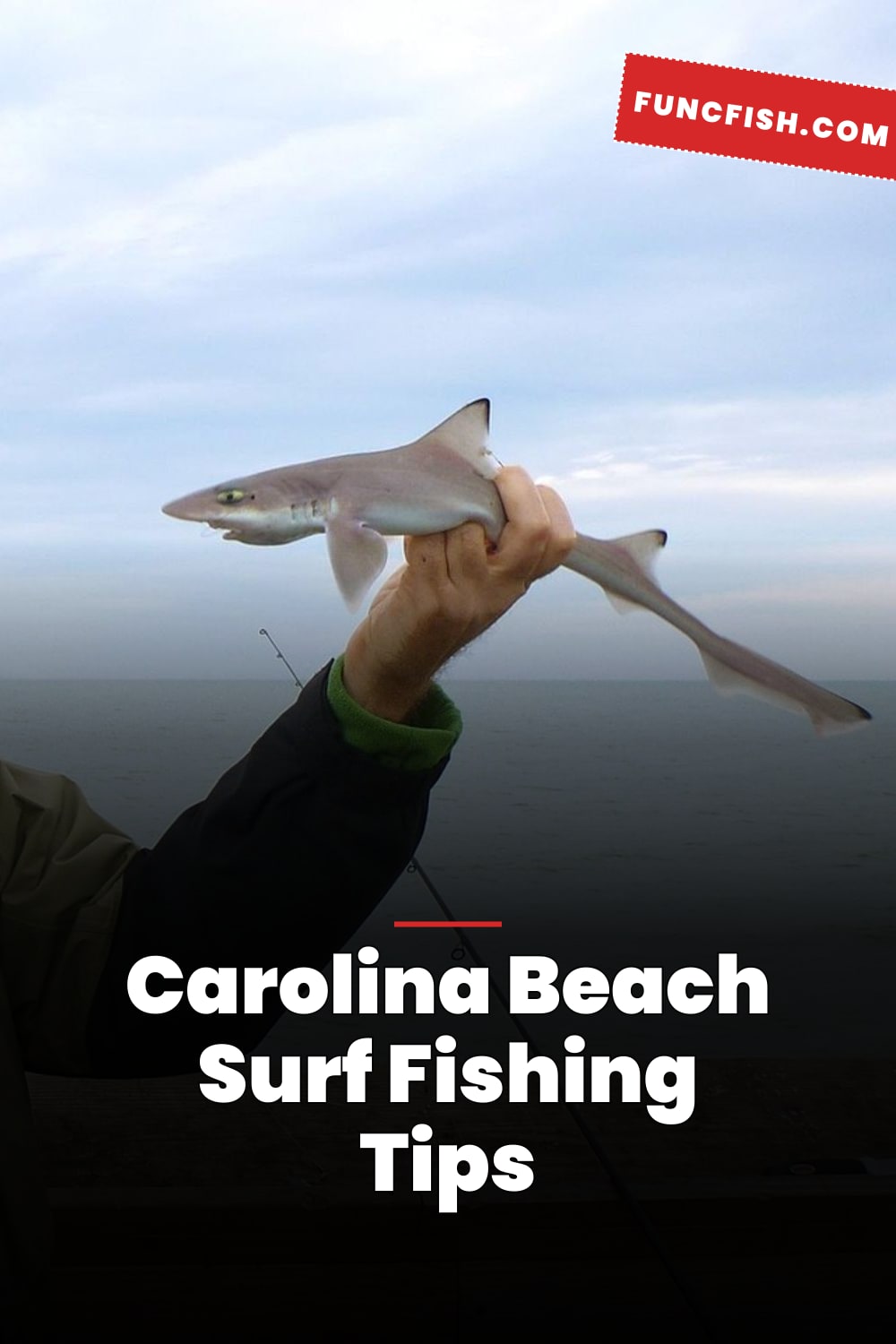 Carolina Beach Surf Fishing Tips Carolina Beach Surf Fishing Tips