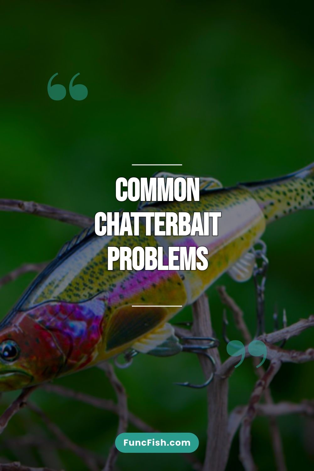 Common Chatterbait Problems
