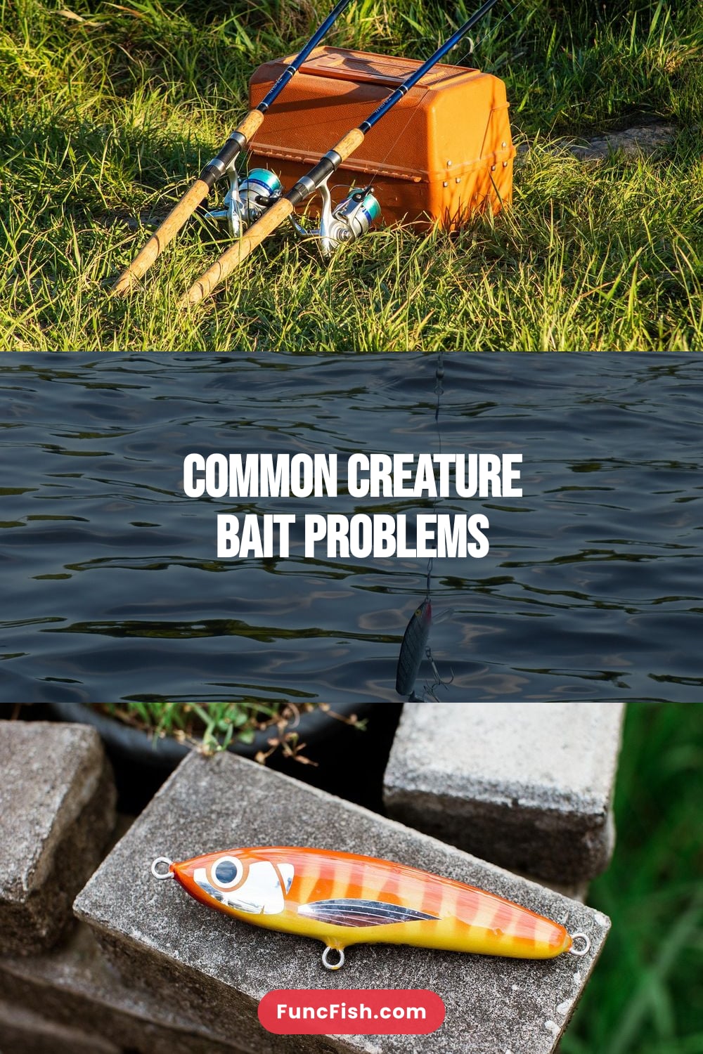 Common Creature Bait Problems