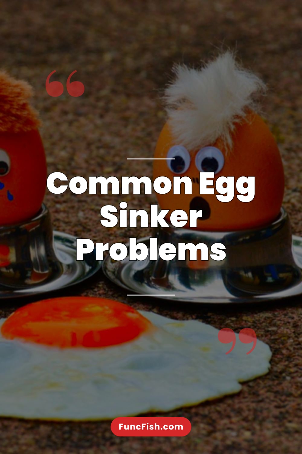 Common Egg Sinker Problems