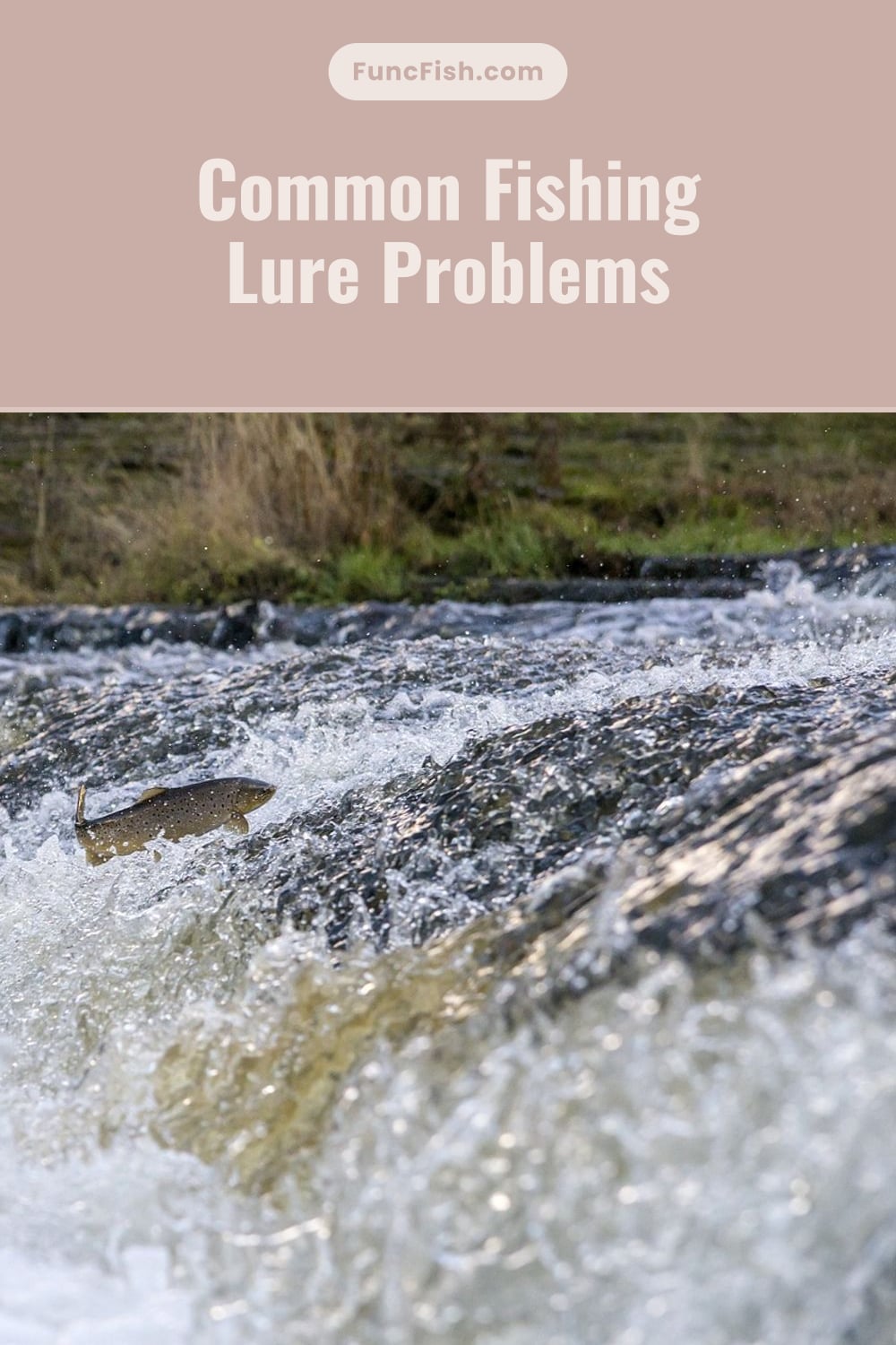 Common Fishing Lure Problems Common Fishing Lure Problems