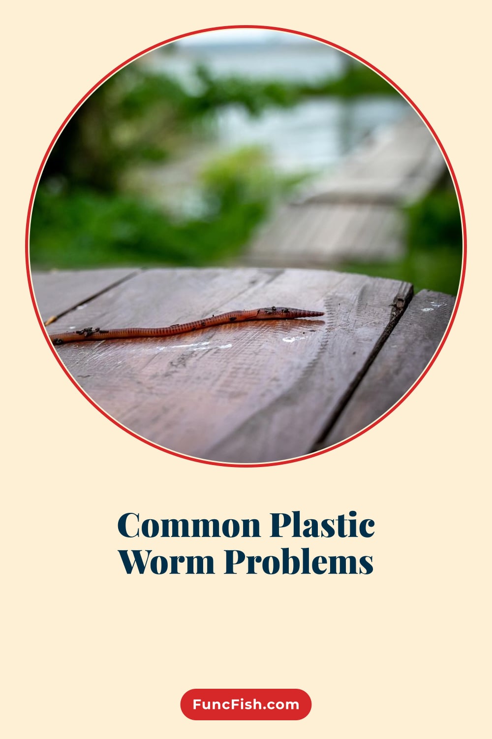 Common Plastic Worm Problems