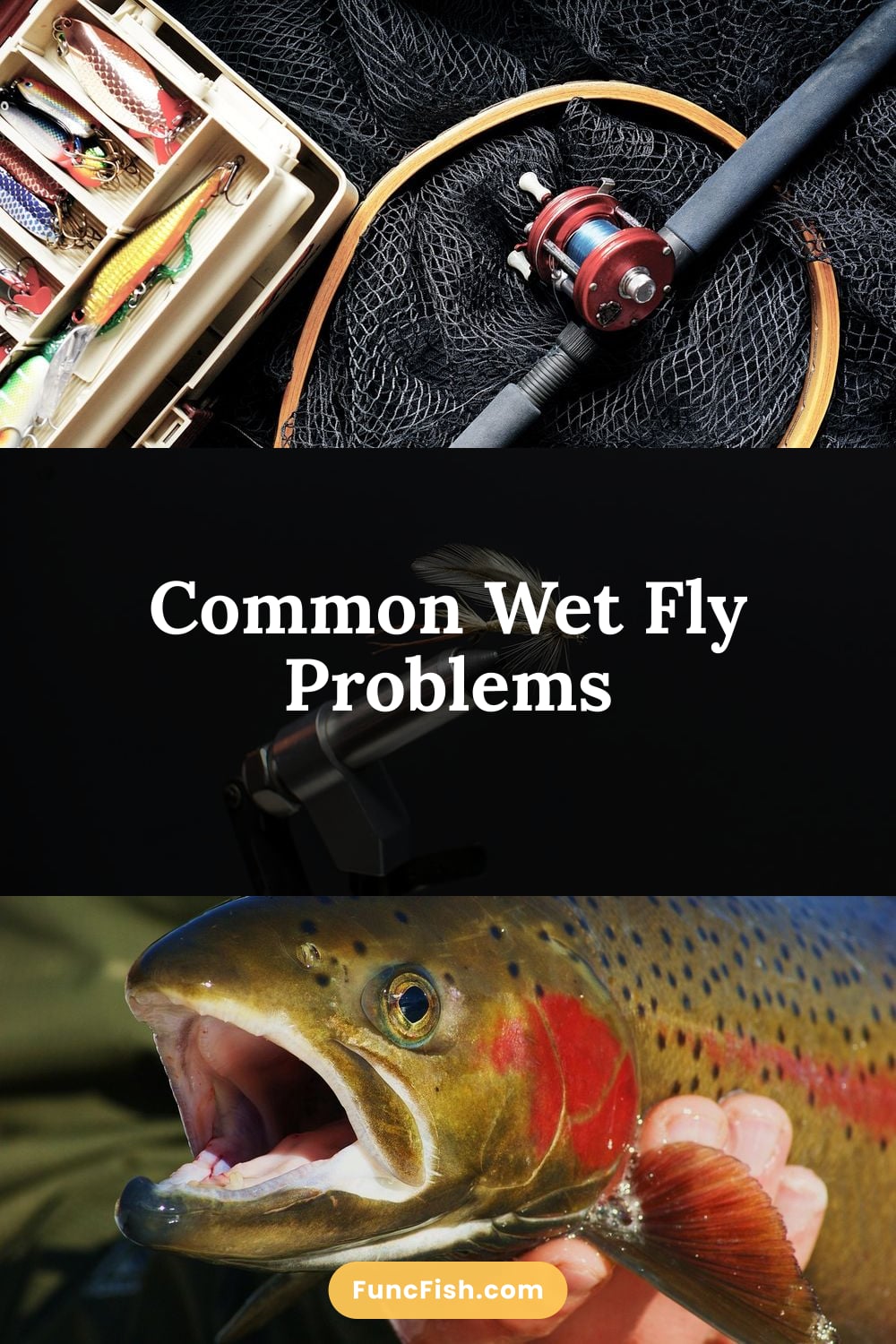 Common Wet Fly Problems