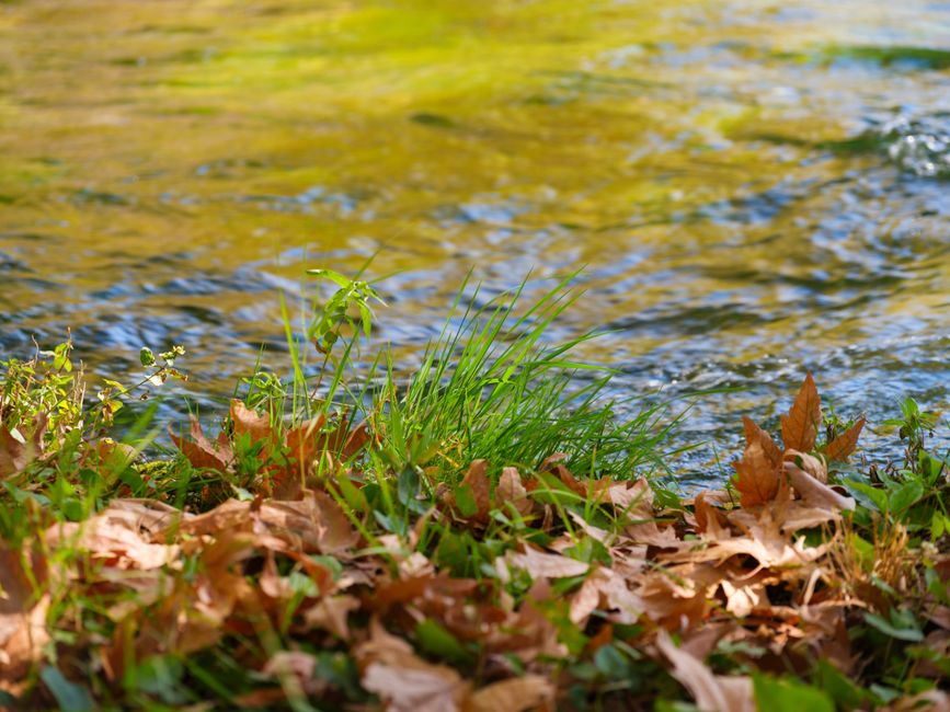creek river bank creek river bank