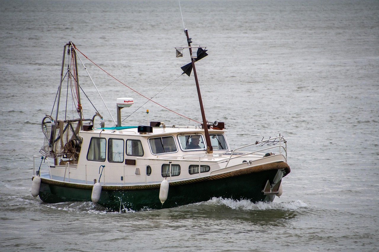cuddy cabin boat cuddy cabin boat