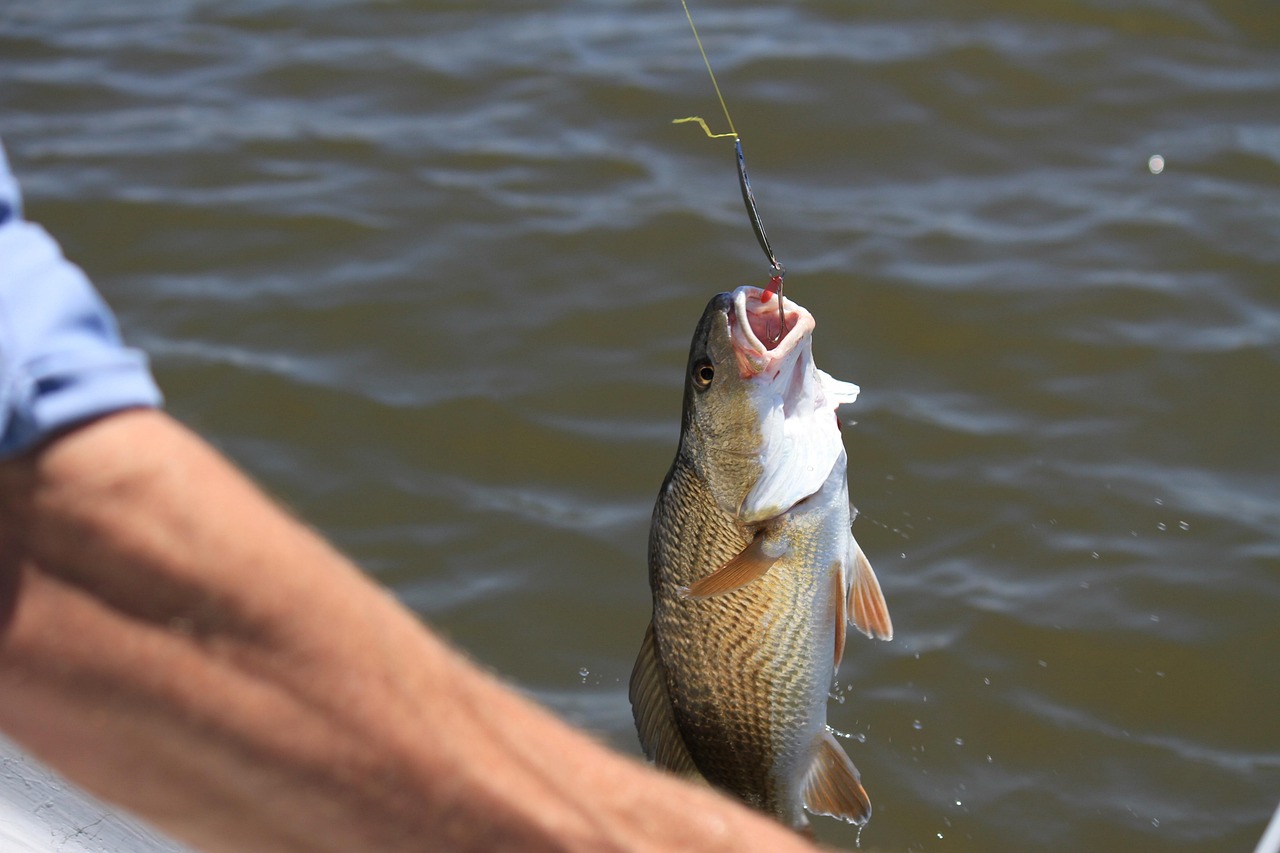 fishing hook eye fishing hook eye