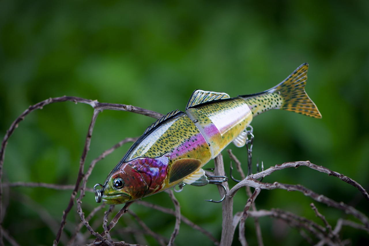 fishing lure crankbait fishing lure crankbait