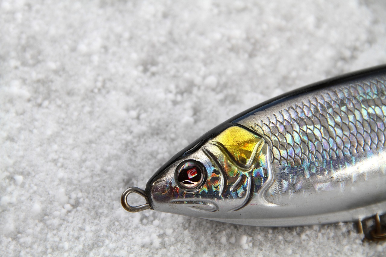 fishing lure underwater fishing lure underwater