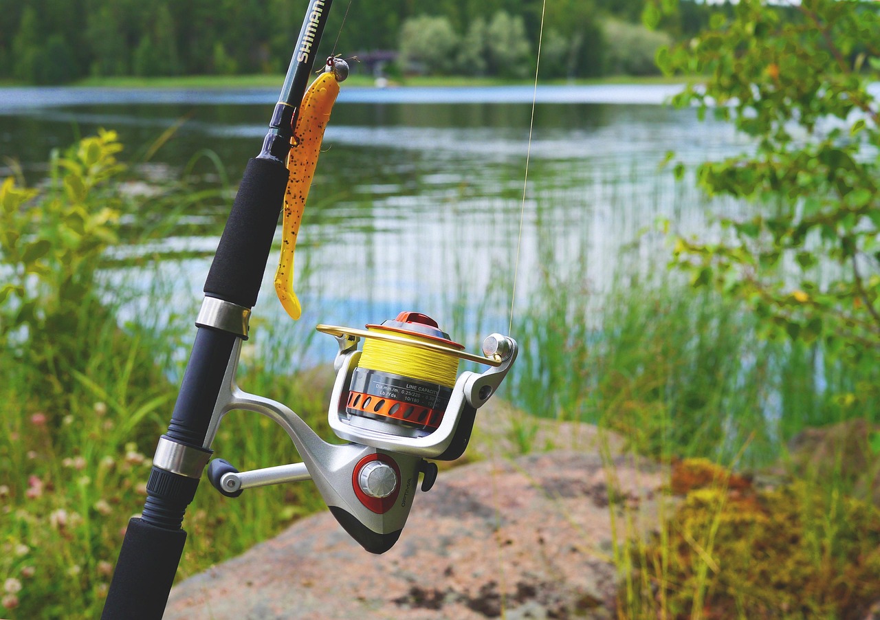fishing rod and reel fishing rod and reel