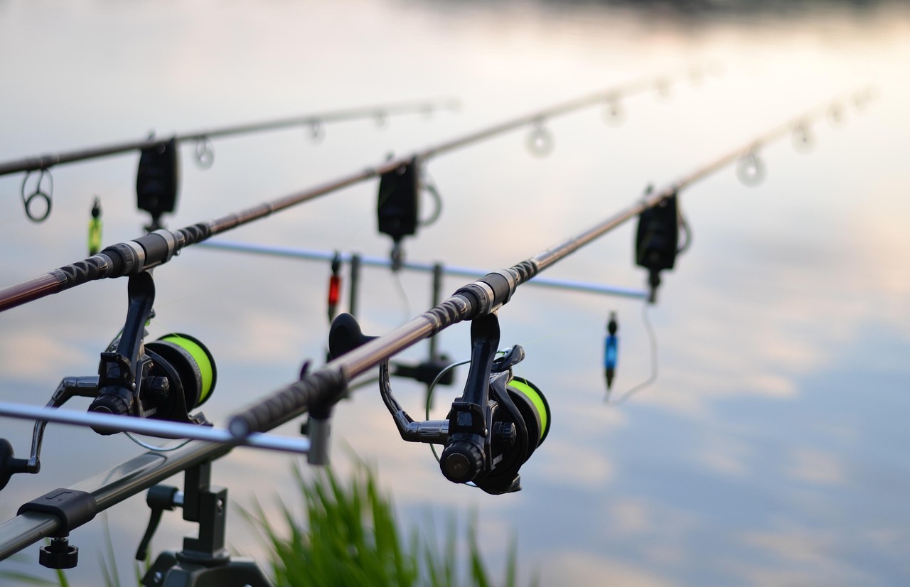 fishing rod guides fishing rod guides