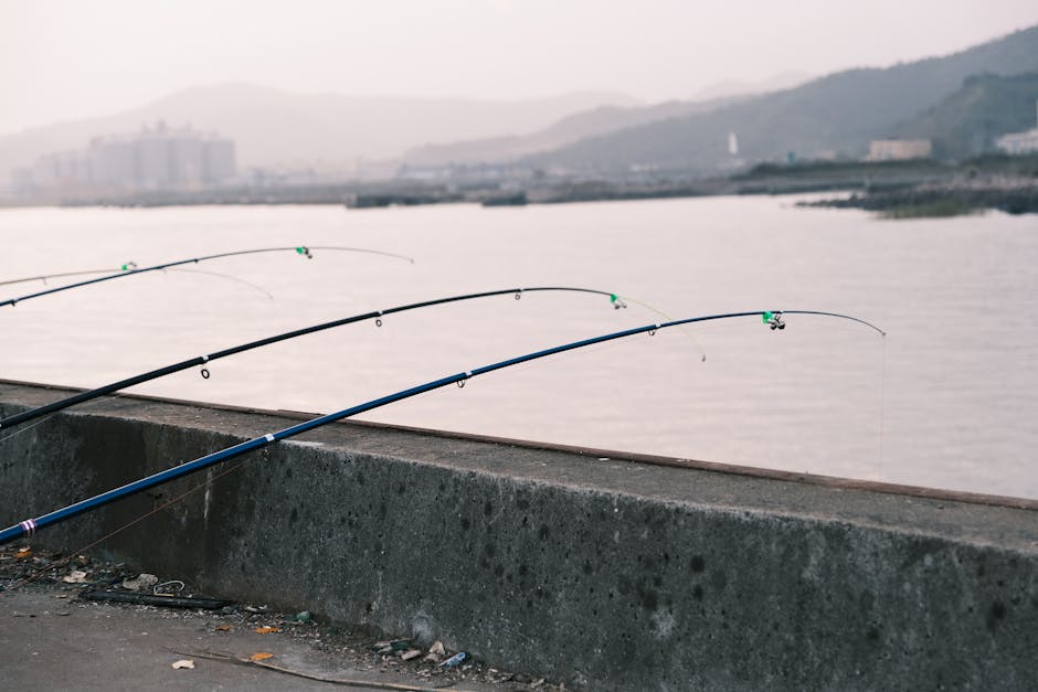 fishing rod river fishing rod river