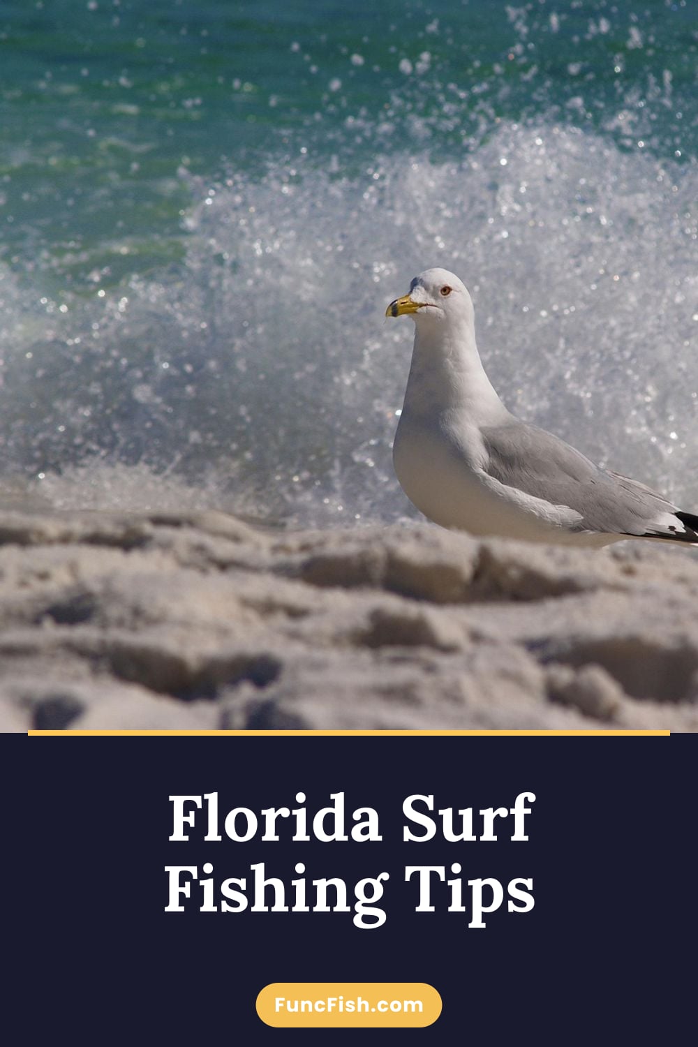 Florida Surf Fishing Tips
