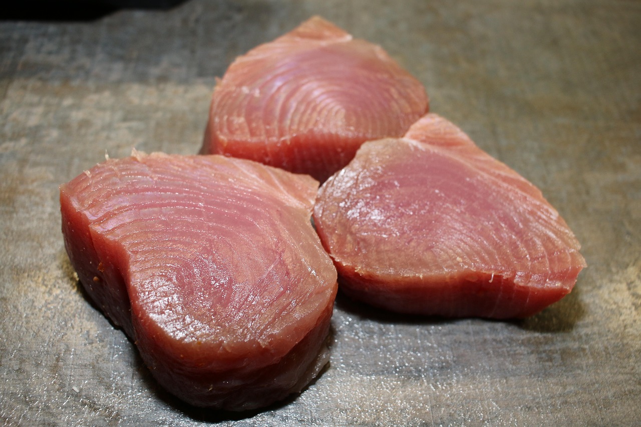 longtail tuna fish longtail tuna fish