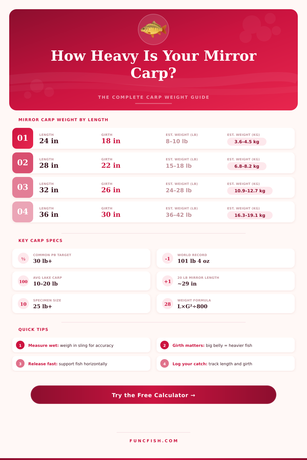 Mirror Carp Weight Calculator – Estimate Your Catch Fast
