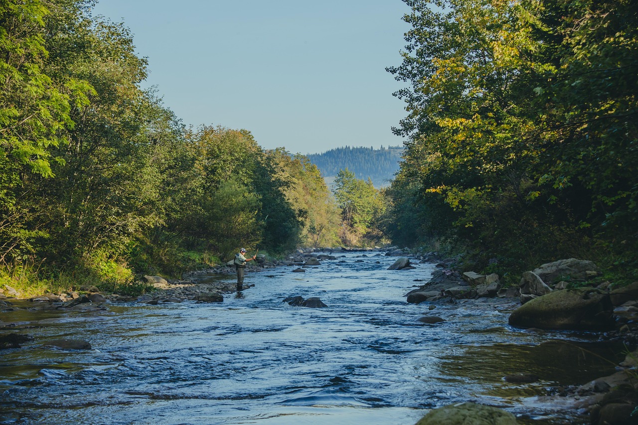 mountain river landscape mountain river landscape