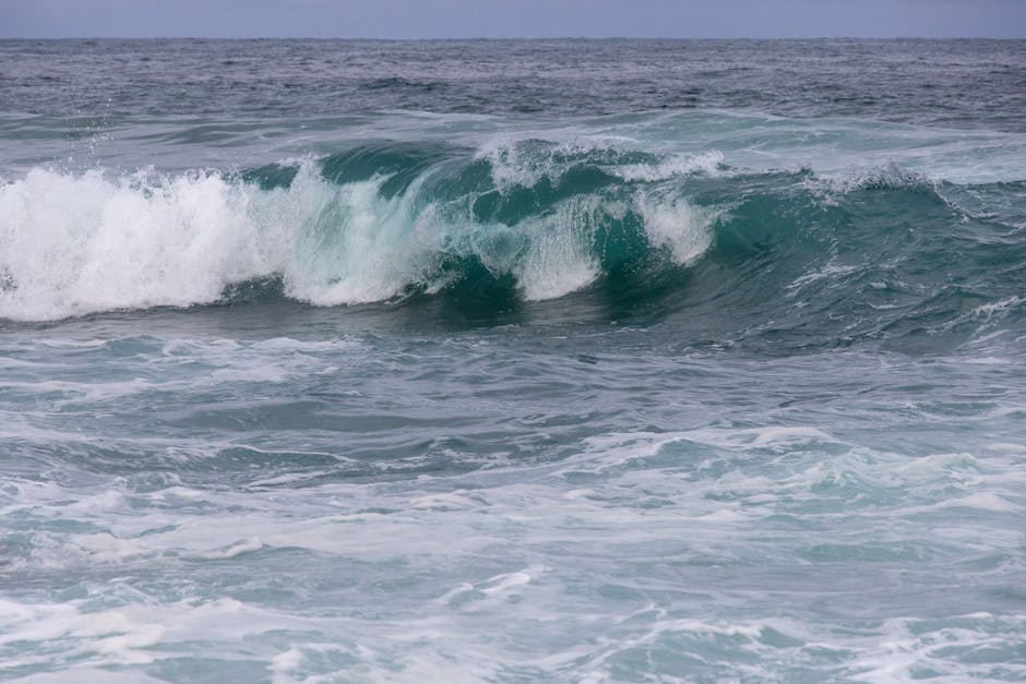 ocean waves surf ocean waves surf