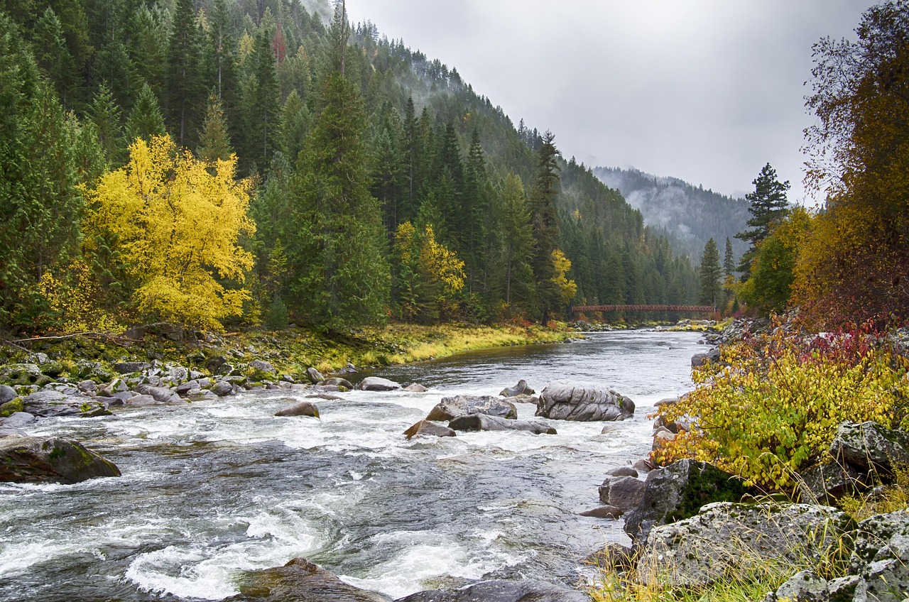 overcast river landscape overcast river landscape