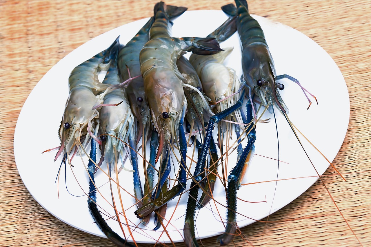 raw shrimp raw shrimp