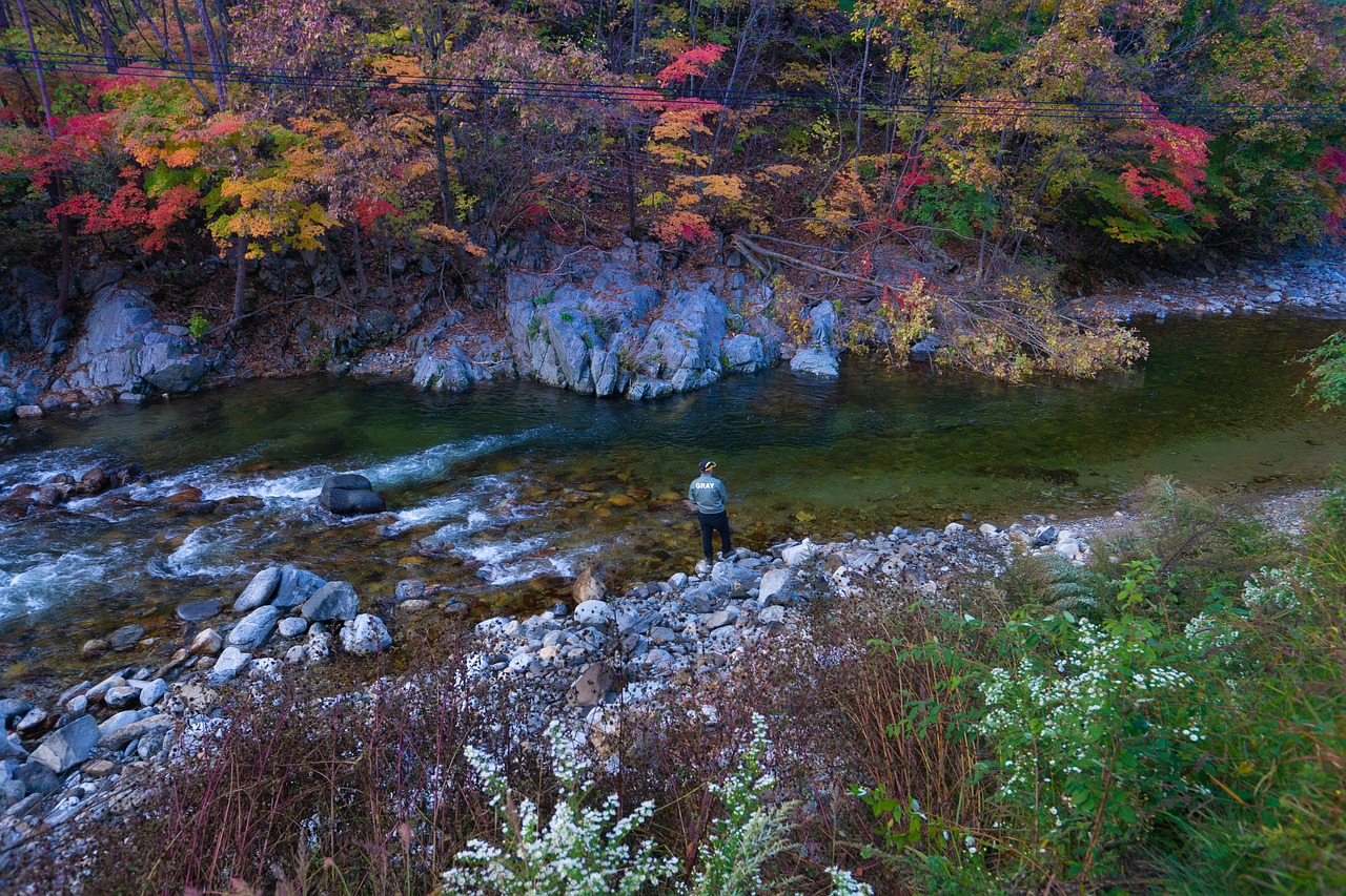 river landscape autumn river landscape autumn