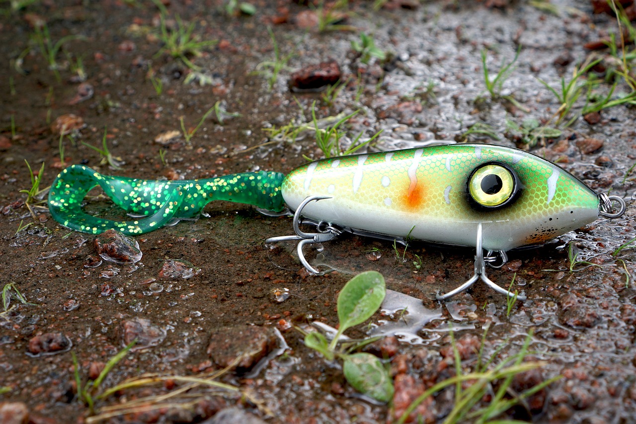 soft plastic fishing bait soft plastic fishing bait