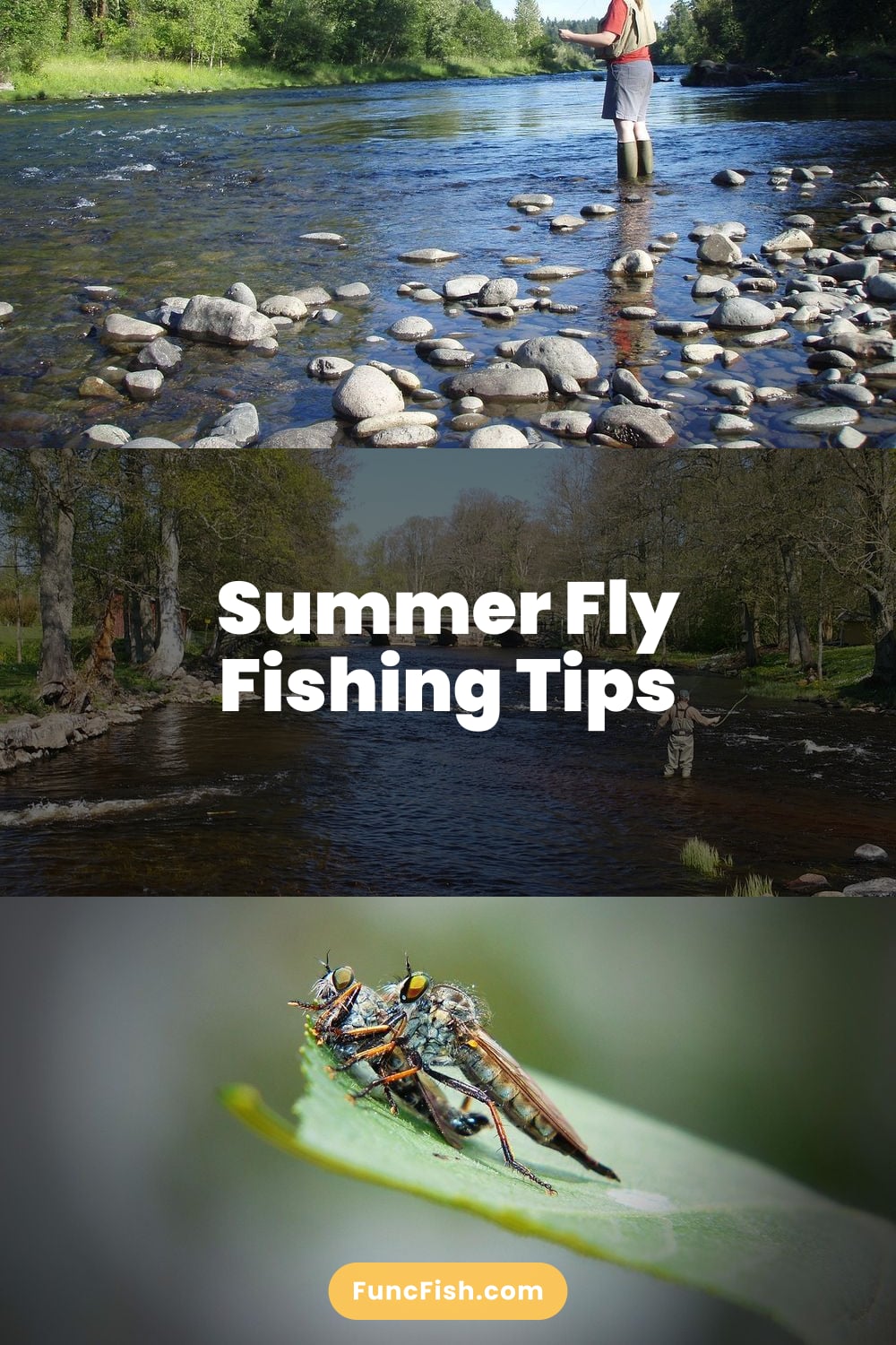 Summer Fly Fishing Tips Summer Fly Fishing Tips
