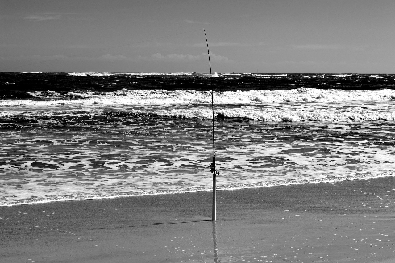 surf fishing rod surf fishing rod