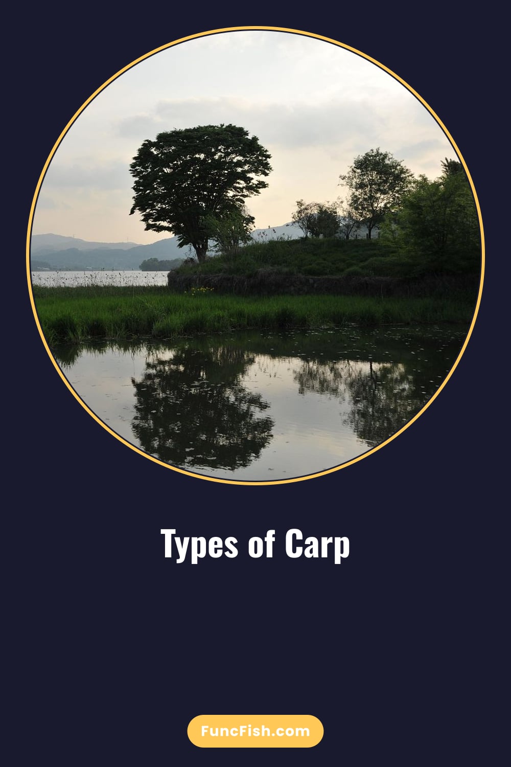 Types of Carp Types of Carp