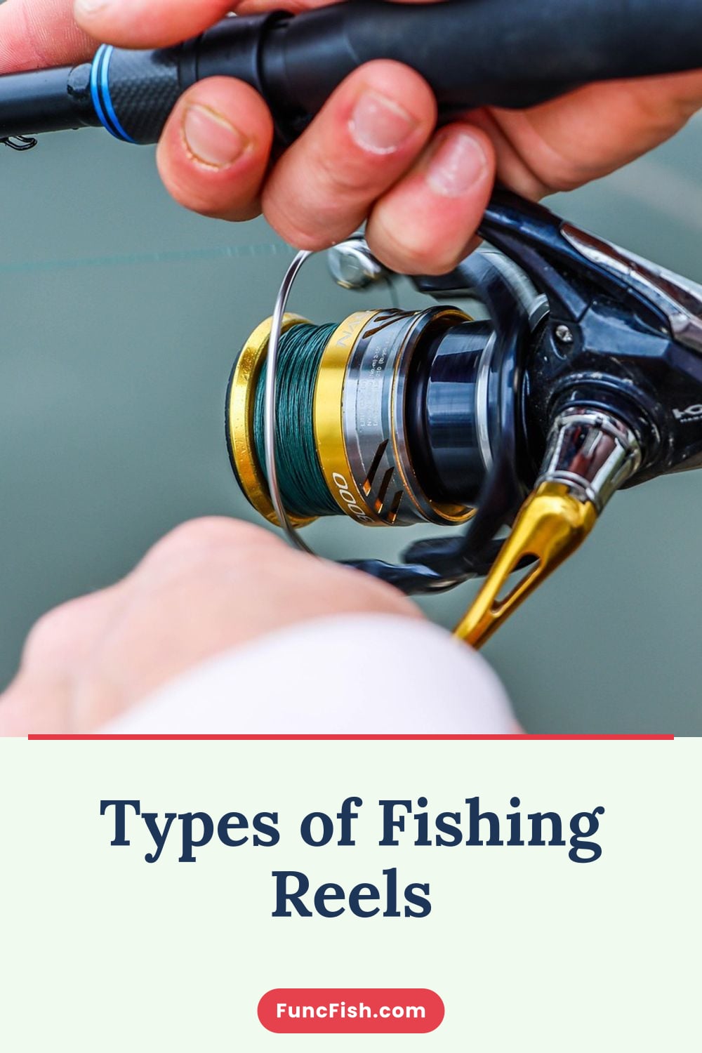 Types of Fishing Reels Types of Fishing Reels
