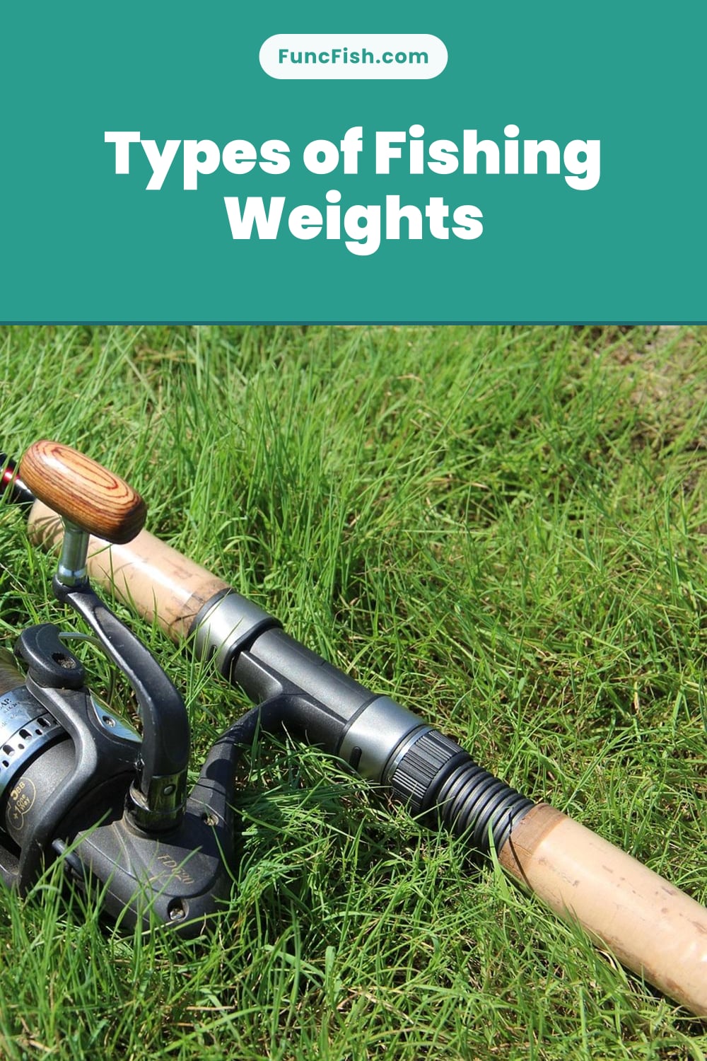 Types of Fishing Weights