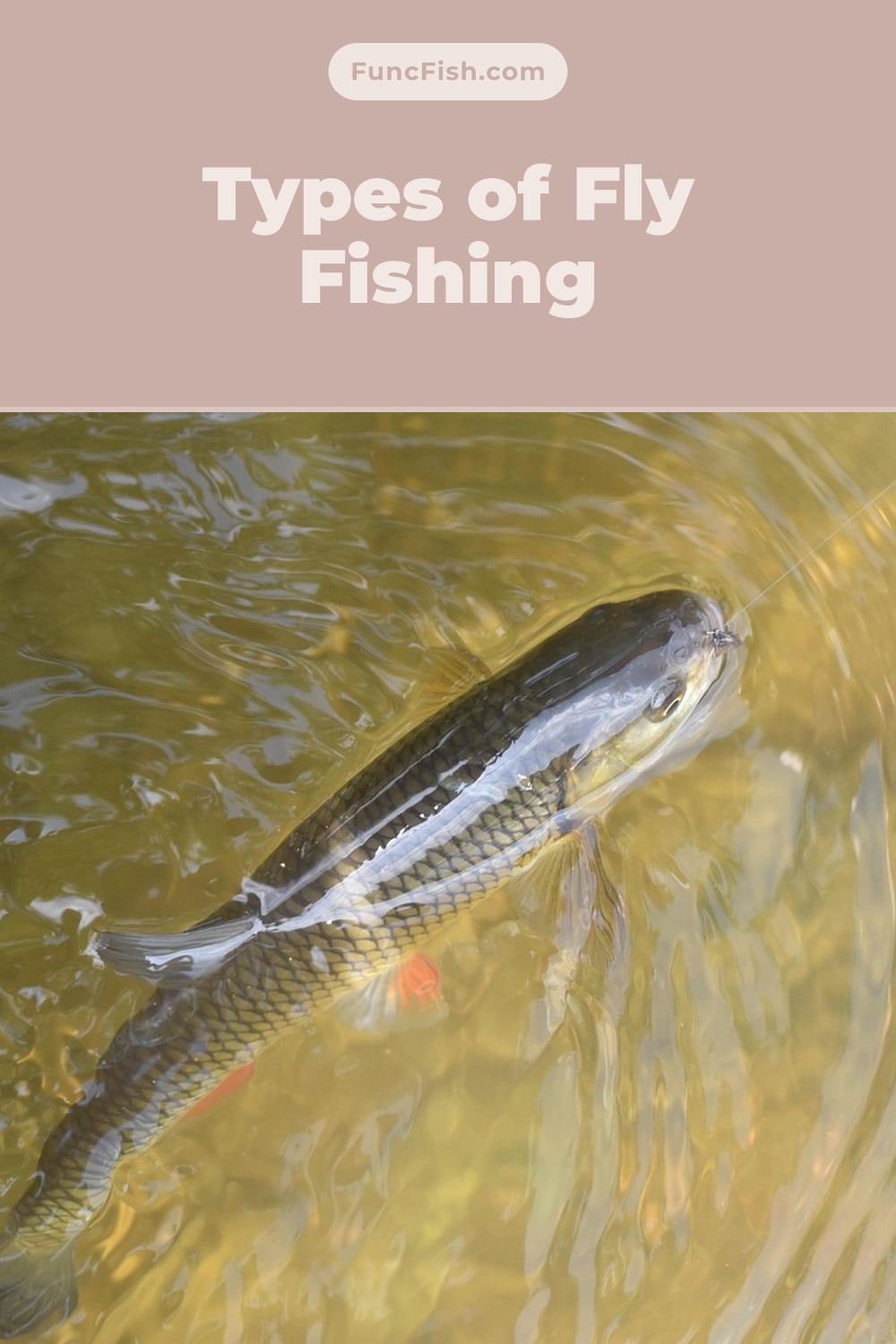 Types of Fly Fishing