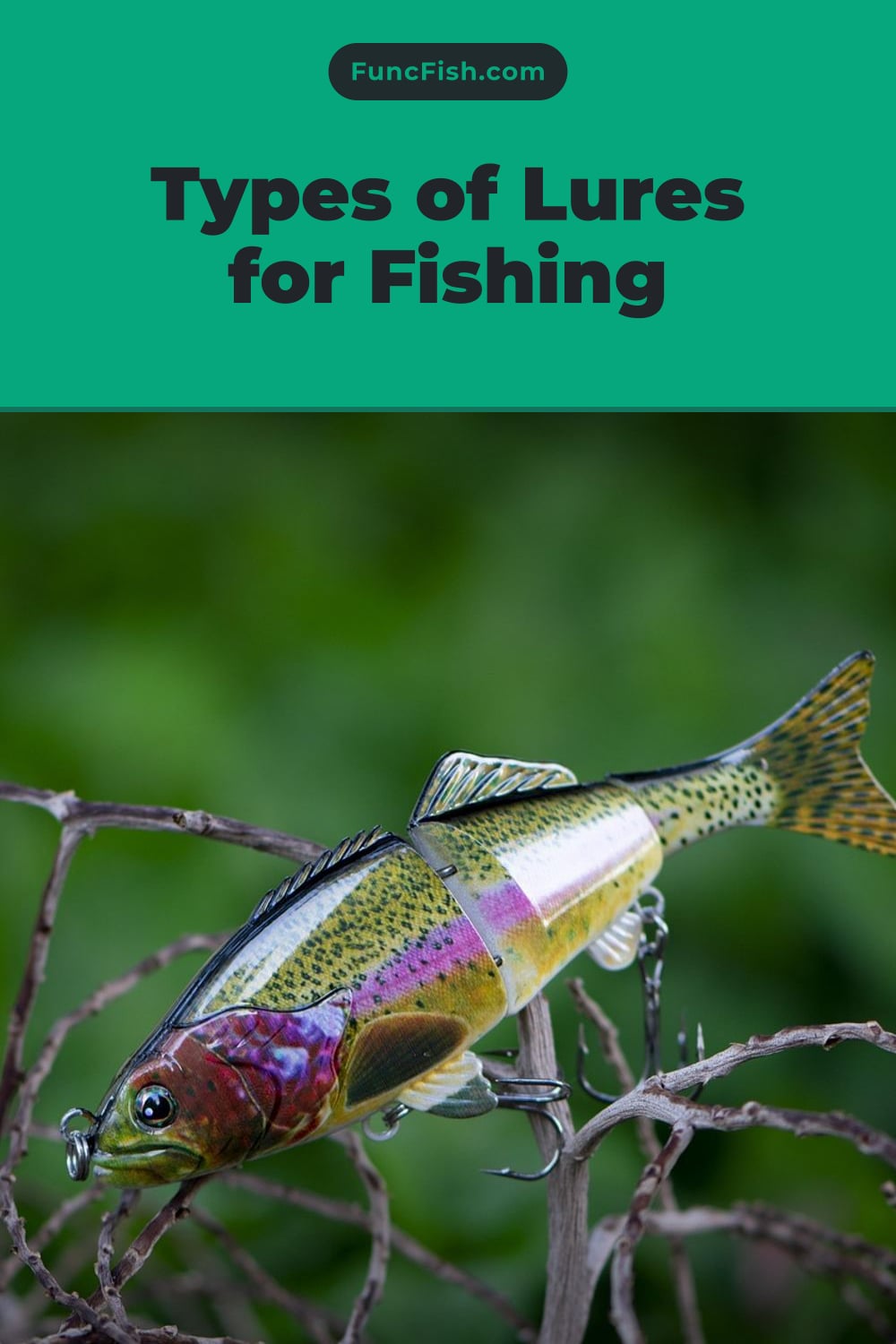 Types of Lures for Fishing Types of Lures for Fishing