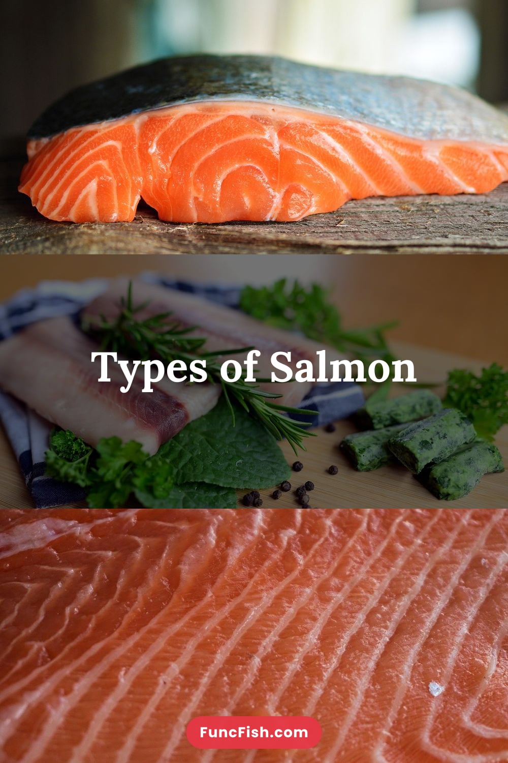 Types of Salmon