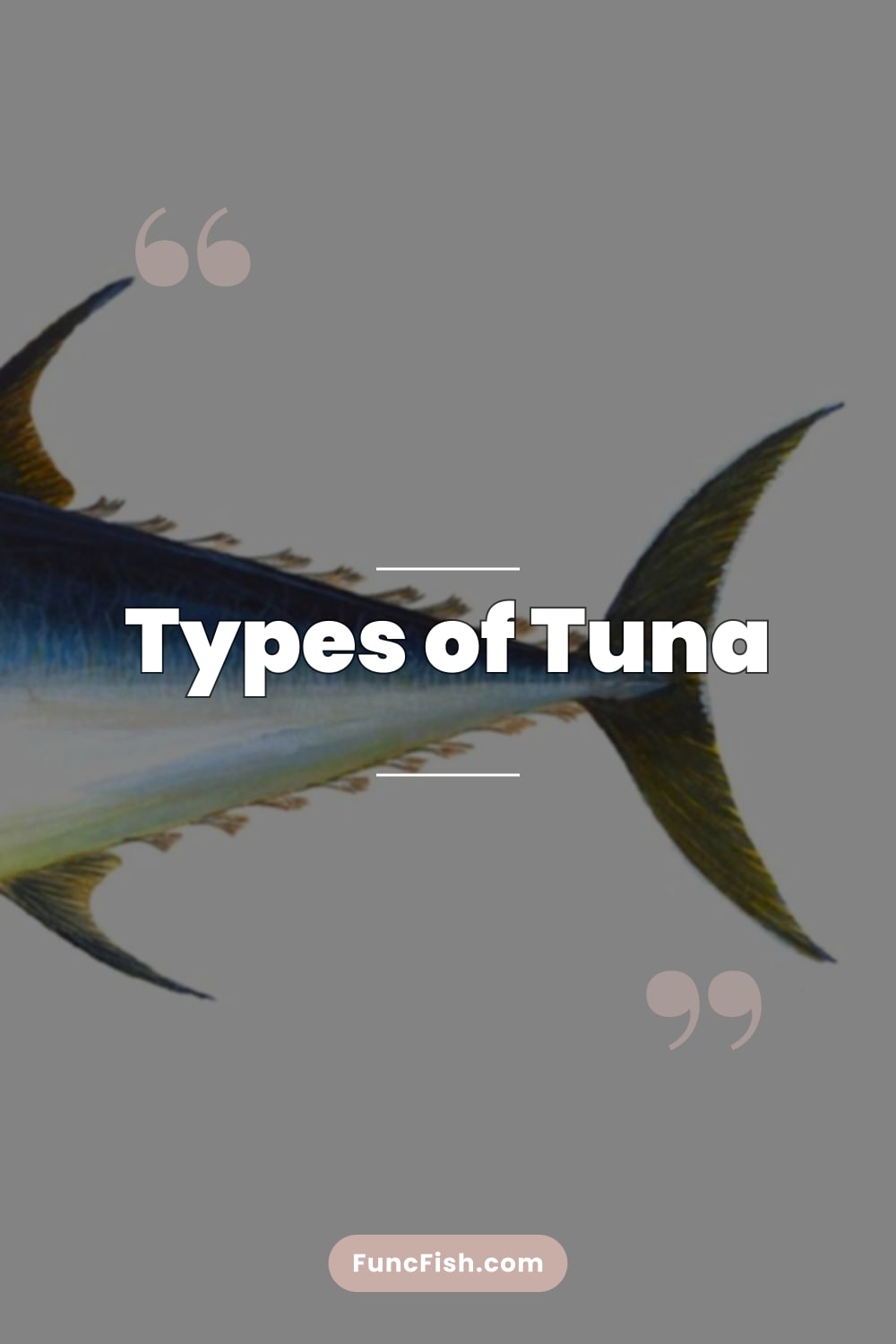 Types of Tuna