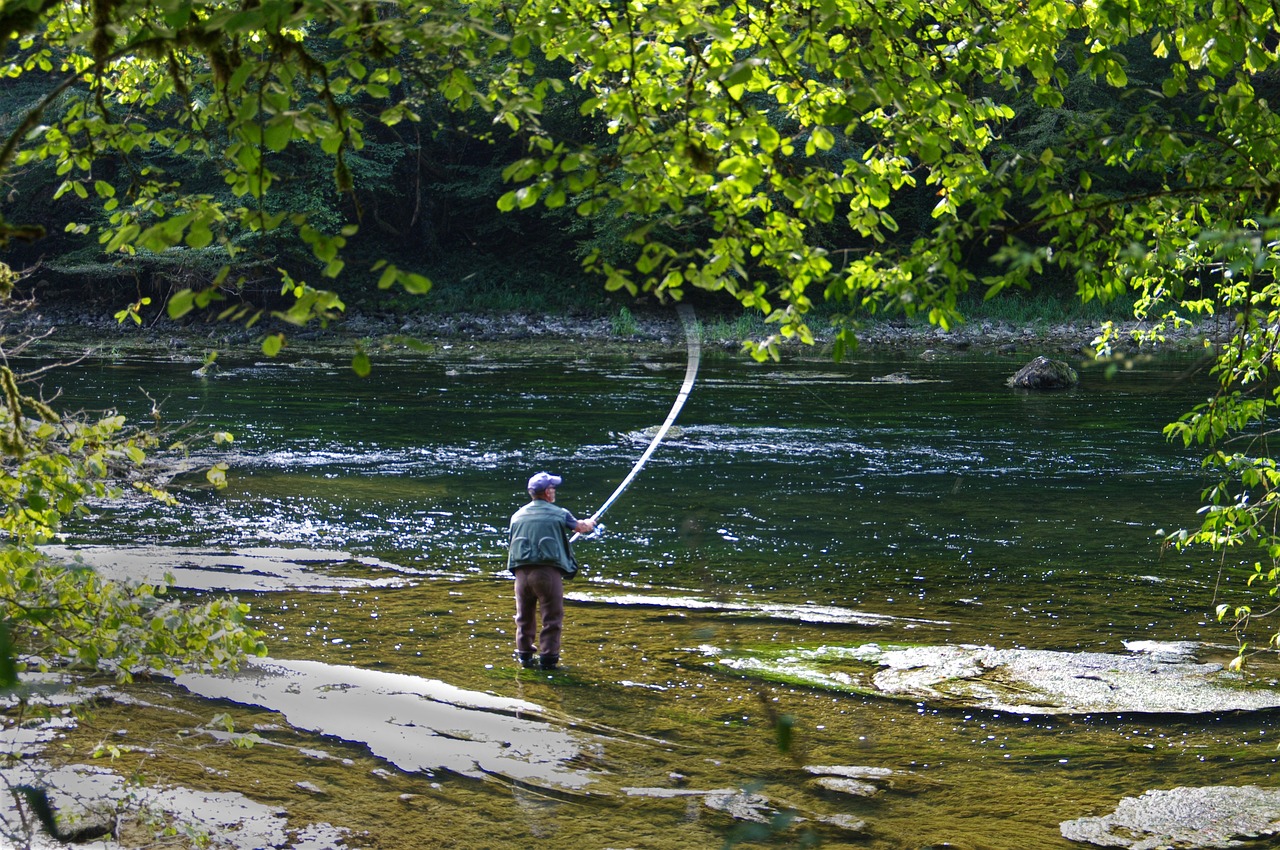 boat fishing rod boat fishing rod