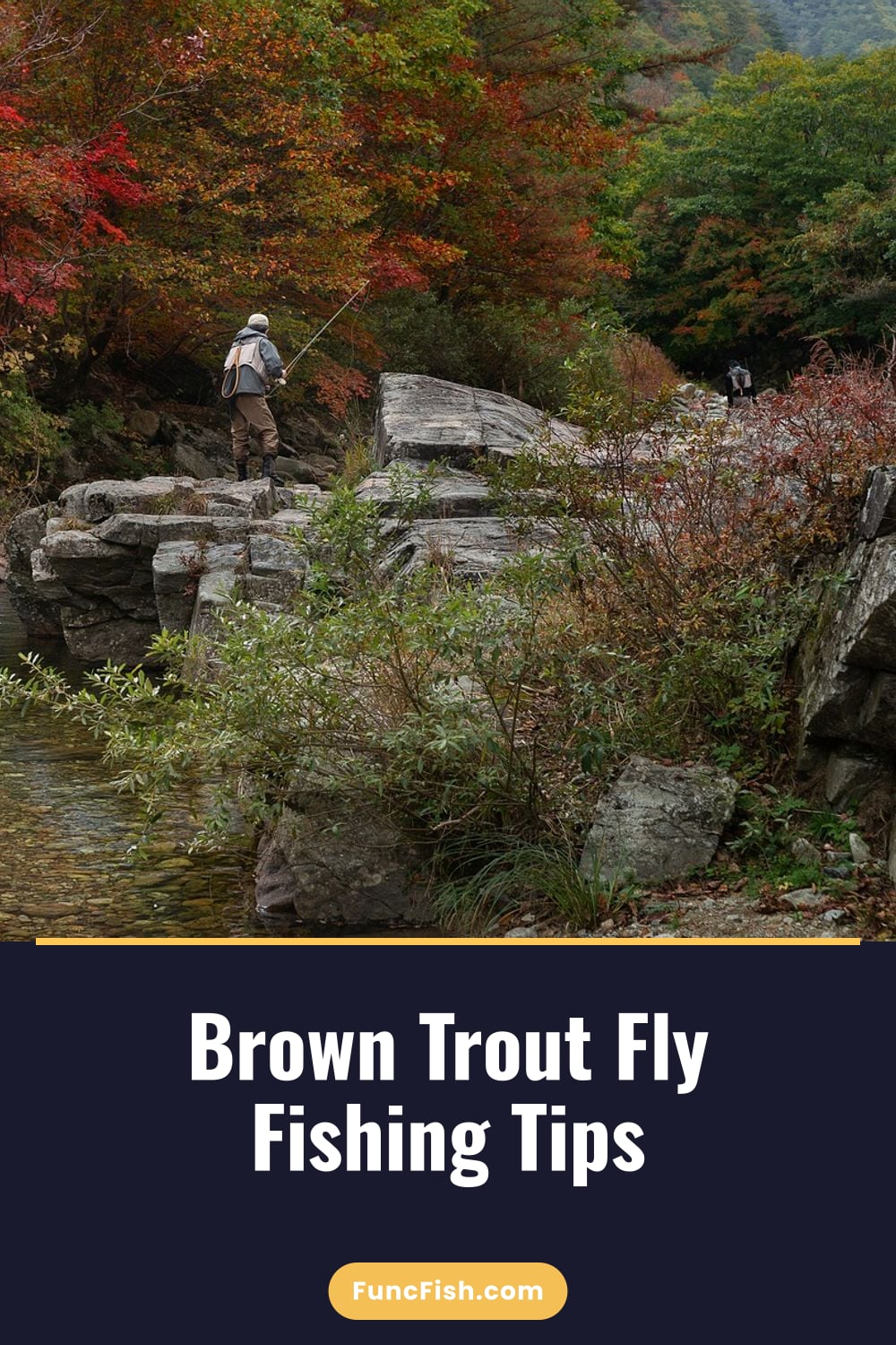 Brown Trout Fly Fishing Tips
