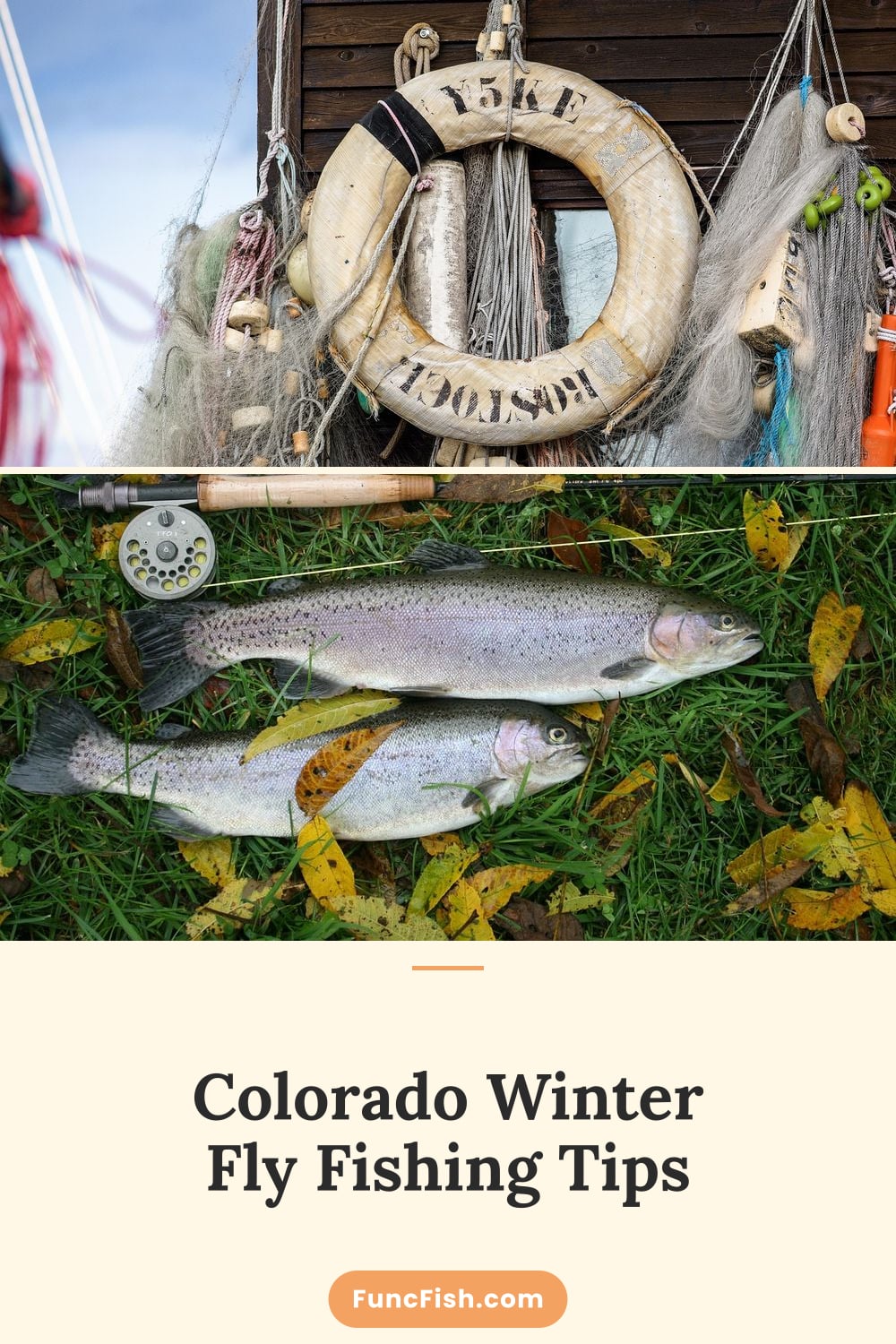 Colorado Winter Fly Fishing Tips