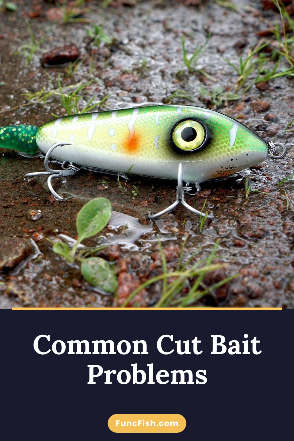 Common Cut Bait Problems