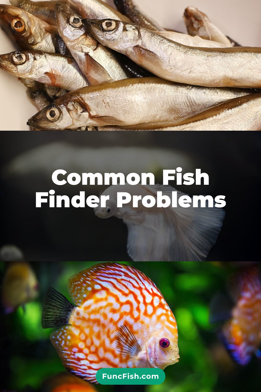 Common Fish Finder Problems Common Fish Finder Problems