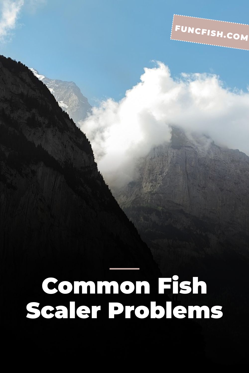 Common Fish Scaler Problems Common Fish Scaler Problems