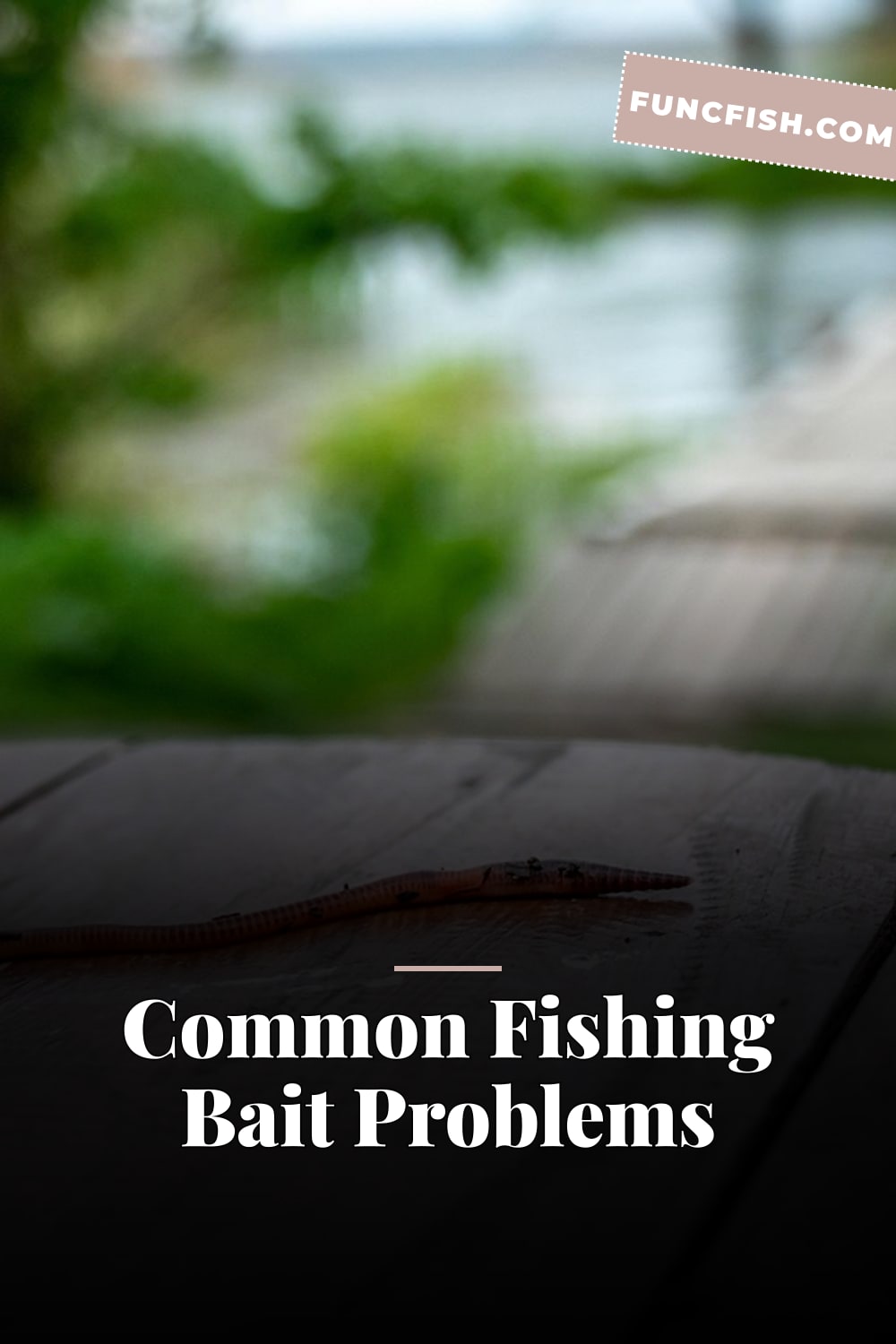 Common Fishing Bait Problems Common Fishing Bait Problems